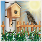 VESNA-PRISLA-SKVORTY8009738c6a8c4127d08