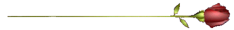 ROZA-17b96d0dc217f1a05.png