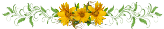 142323335_139479992f3d2a8b35f7.png