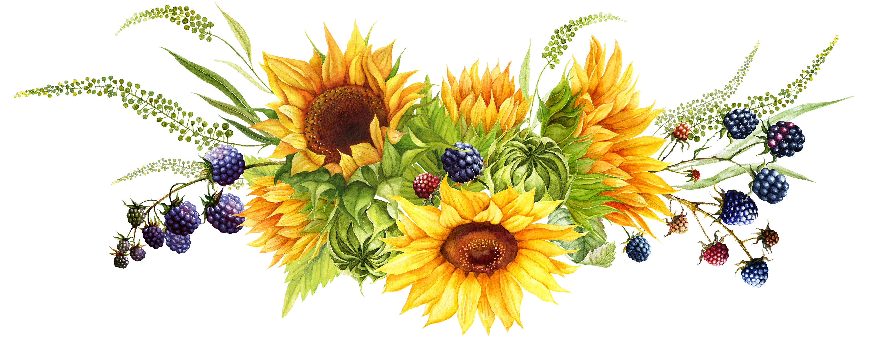 fe65bbada9d3bc8701a1950f2e67d816e93ca3f13e42019f.png