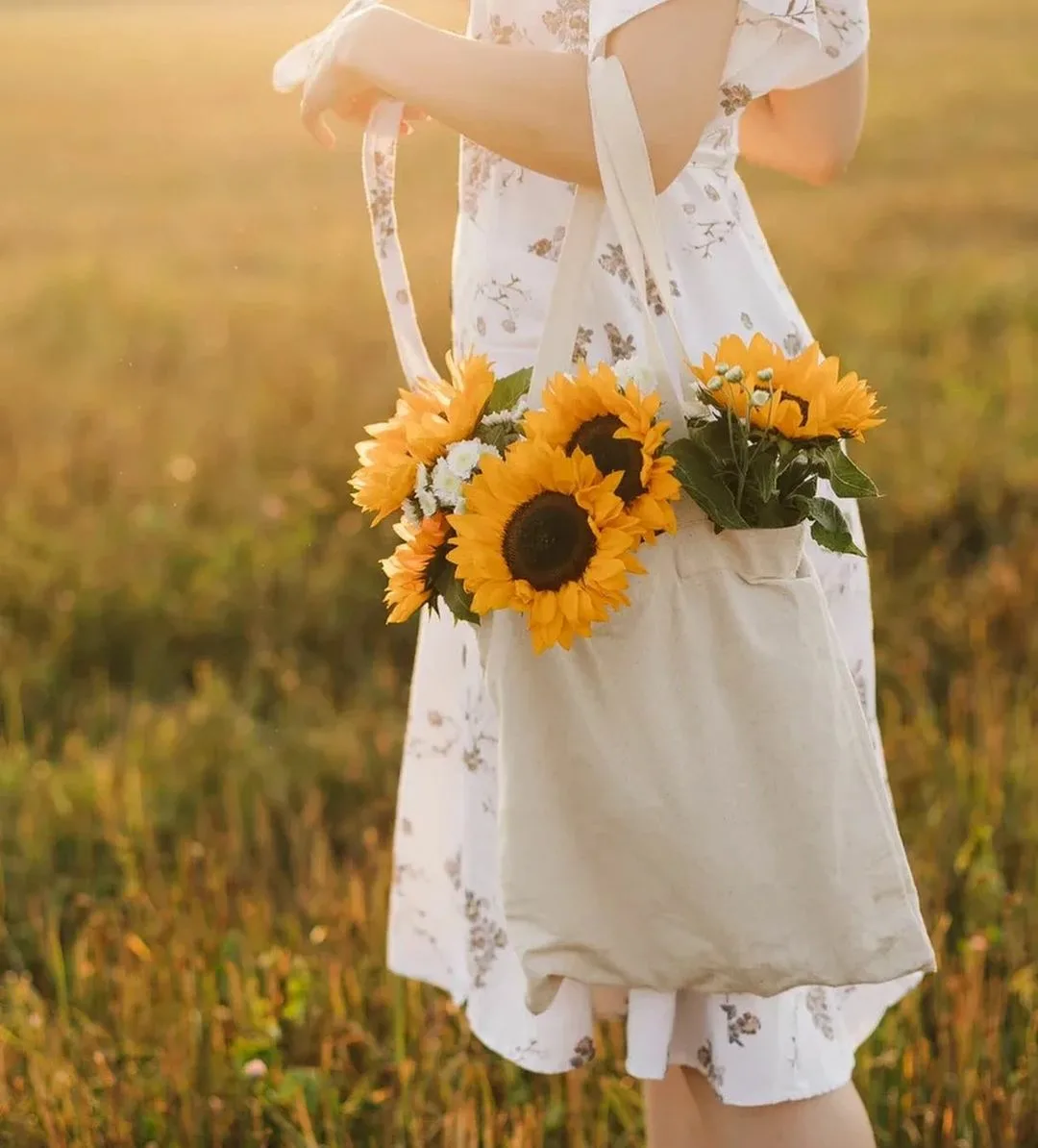 i-163f7c61bc55887594.webp