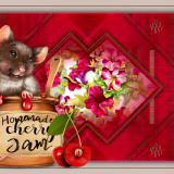 KANNA20a916098909fdd49