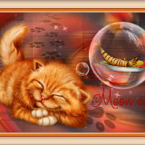 MUNN-KET.1e23b9594d5e31359