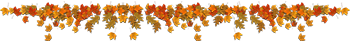 30a17a63c4479c714f.png