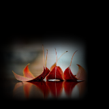 34v7hb1be593ff6d6931a