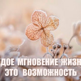 BEZ-IMENI-12d24d9706f0757bd