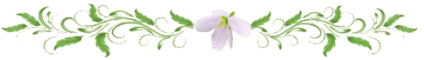 128957146_32088056d442781f5a3c.png