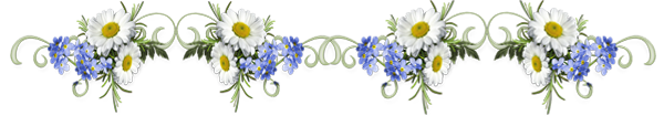 1b548bc91cba1d61141baa61047fb3d27.png